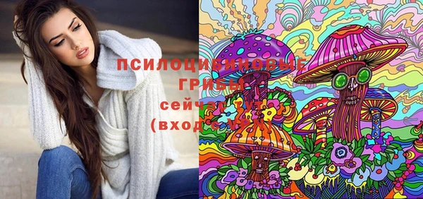 прущая мука Вязники