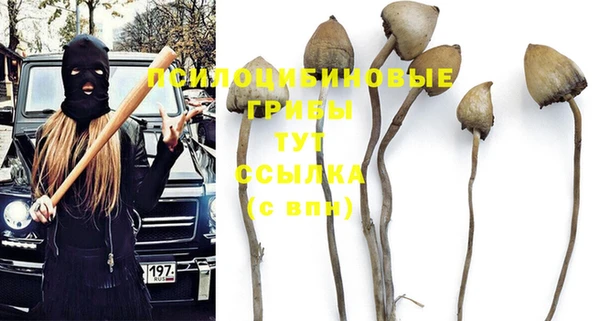 прущая мука Вязники