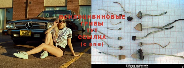 прущая мука Вязники